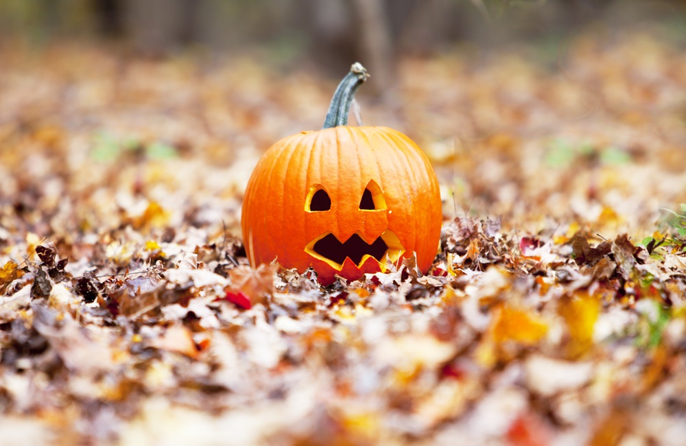 Halloween Festival